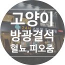 시흥i동물병원 이미지