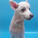 38점5도씨 이미지