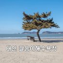 갈음이해수욕장 티스토리