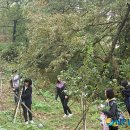 대곶면주민자치센터 이미지