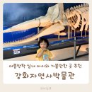 하점면-1 | 강화자연사박물관 5살 아이와 다녀온 후기 | 여름방학 실내 아이와 가볼 만한 곳 추천