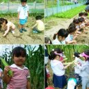 도시농업센터 이미지