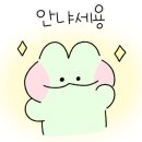 아니스 속눈썹