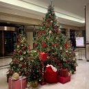 이마트24 R울산대병원점 | 급 떠난 울산 1박2일(현대 바이 라한호텔, 참진앓이 명덕점, 달동 앞산큰골집, 장생포고래박물관)