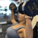 바디팩트 이미지