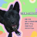 굿모닝동물병원 이미지