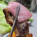 삼거리 뼈다귀탕 | 담양 한재골맛집 평장식당에서 오리고기 , 닭볶음탕 먹은 후기