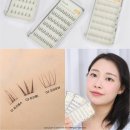 29170-4-A-04 | 필리밀리 노글루 포인트 가닥 속눈썹 쉽게 붙이는 방법, 01 트리플A, 03 트리플I, 04 크라운W 3종 비교