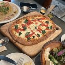 푸르댕댕 이미지