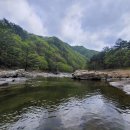 이*원 - 미추홀구 용정공원로 33 | 이*원