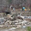 물고기의눈물이호수로 이미지