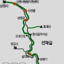 숲향여행사 이미지