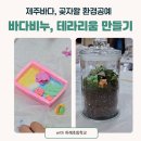 하례초등학교 | 엄마와 아이가 함께한 환경공예 체험 바다비누, 테라리움 만들기 제주출강