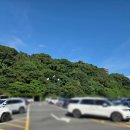 천지연 관광지관리사업소 주차장 | 서귀포 천지연폭포 제주도반려동물 동반가능 관광지 이용시간 무료물품보관함