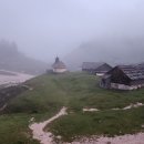 규현목장 이미지