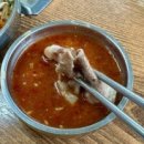 신제주 | [공지] 제주 현지인 맛집 하루 18마리만 파는 신제주촌오리 솔직후기