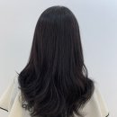 파니샵 이미지