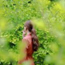 초원숲속가든 이미지