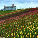 신강농장 이미지