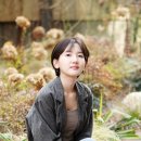 안소요 카카오 검색결과