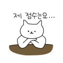 수통골;조개손칼국수 이미지