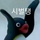 마츠하나 이미지
