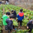 엄지창의어린이집 이미지