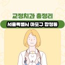 서울특별시 마포구 합정동 교정치과 총정리