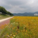 봉동교 옆 네이버블로그