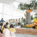 꿀벌나라테마공원 이미지