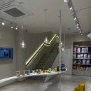 아이온메디컬 | 동백역동물병원 아이온에서 건강검진으로 찾아낸 노령 강아지 갑상선 기능 저하증