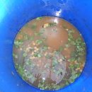 천지인농장 이미지