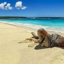 지상낙원 이미지