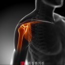 신사한의원 이미지