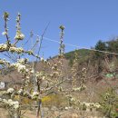 한덕농장 이미지