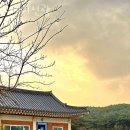 스테이 선광 이미지