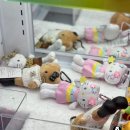 뽑기FLEX 이미지