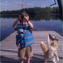 개와고양이 이미지