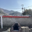 월오포레스트 이미지