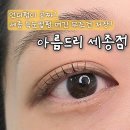 아름드리 | 세종 어진동 속눈썹펌 잘하는곳 &#39;아름드리 세종점&#39; 솔직후기