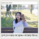 테디 켄넬 | 양주강아지분양 테디럽에서 애견분양 했어요