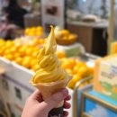 더옐롱