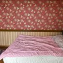 에바스모텔 | 가성비와 접근성 모두 잡은 에바스모텔 실속 있는 투숙 후기