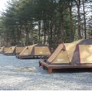 함평나비마을 서울캠핑장 이미지