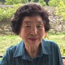엘지김밥 이미지