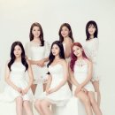 베리굿 카카오 검색결과