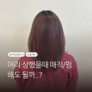 신데렐라 | 상한 머리 복구 가능할까? 프롬에이 마곡나루 신데렐라 클리닉 후기