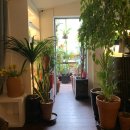 이고집푸드 이미지