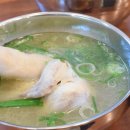 한끼 닭 칼국수 이미지