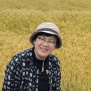 경남문화예술진흥원 사업 청소년과 함께 하는 구지가 사업 관련 기사입니다. 이미지